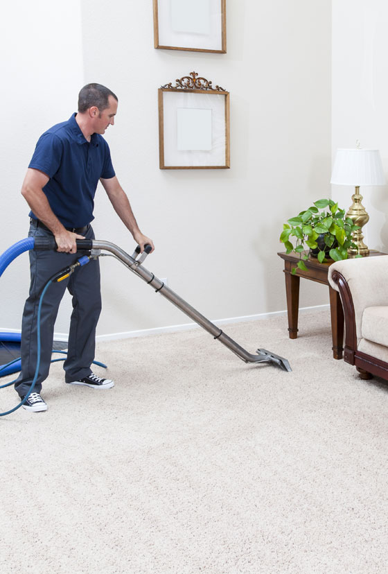 Professional Carpet Cleaning