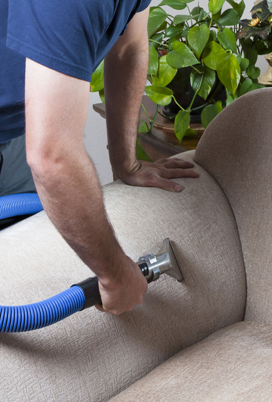 Professional Upholstery Cleaning
