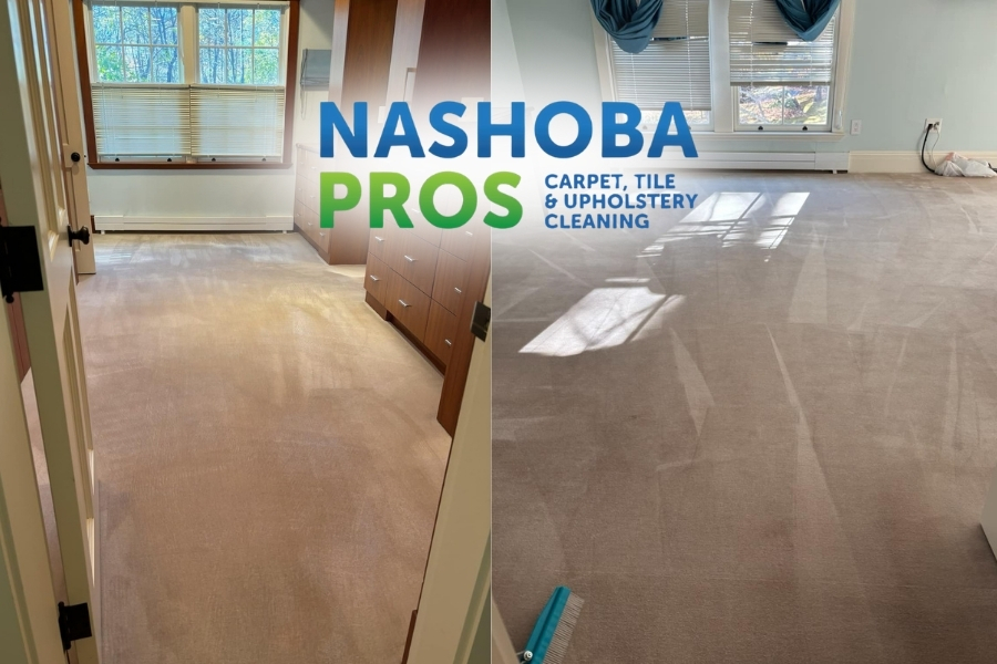 Best Carpet Cleaning 1
